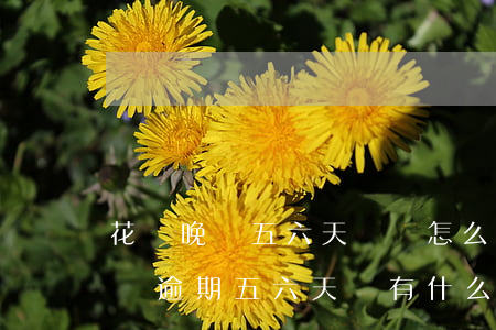 花唄晚個五六天還會怎么樣,代款有影響么，花唄逾期五六天會有什么影響？代款是否會受牽連？